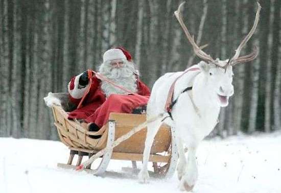 Дед Мороз фото